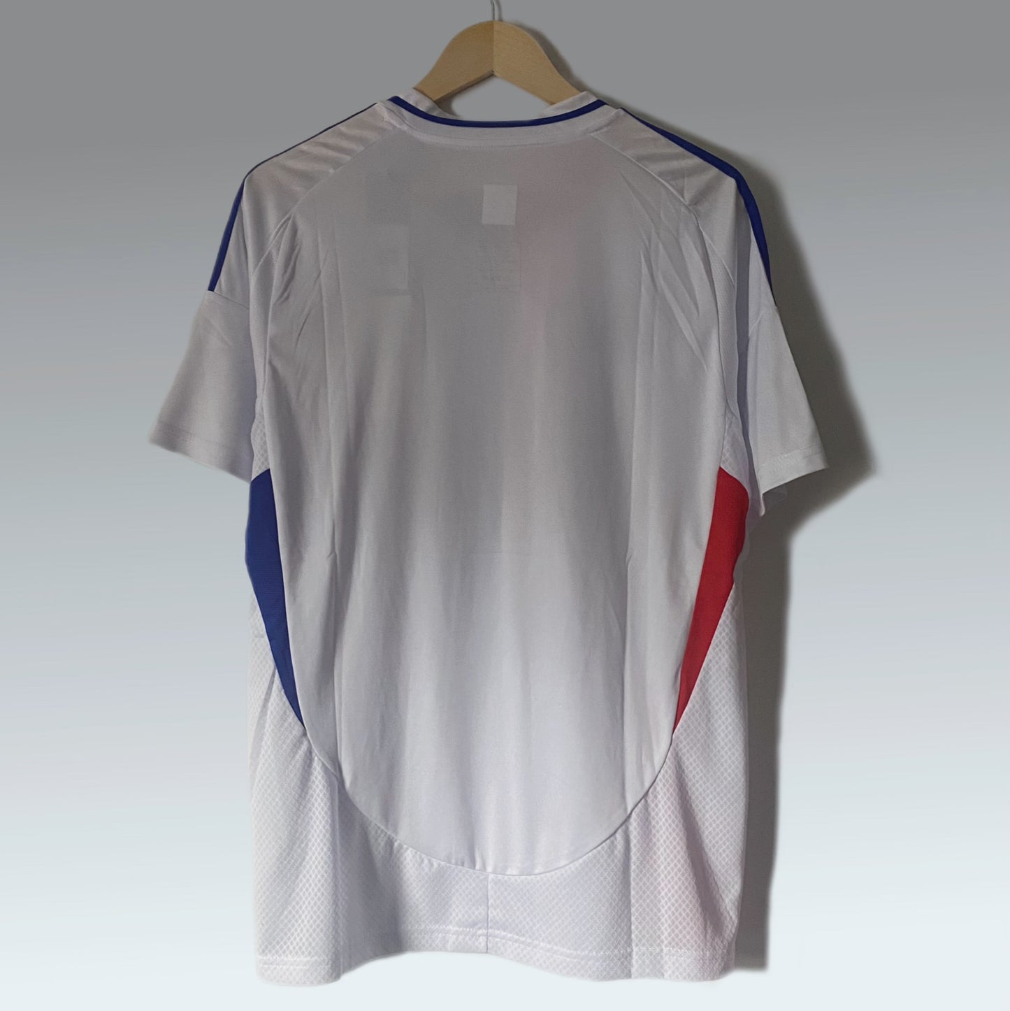 Lyon 2024/25 Home